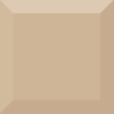Керамическая плитка Monocolor Beige Biselado Brillo (10x10)