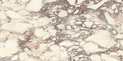 Керамогранит Marmi Classici Calacatta Viola Luc (60х120)PL612671