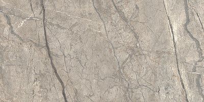 Керамогранит Anima Futura Amazing Silver Luc (60х120)