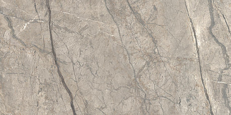 Керамогранит Anima Futura Amazing Silver Luc (60х120)