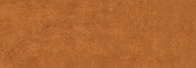 Керамическая плитка RESIN ORANGE RET (35x100) 635.0172.0601