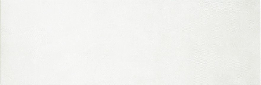 Керамическая плитка Evolution white plane EVO2510 (25x75) EVO2510