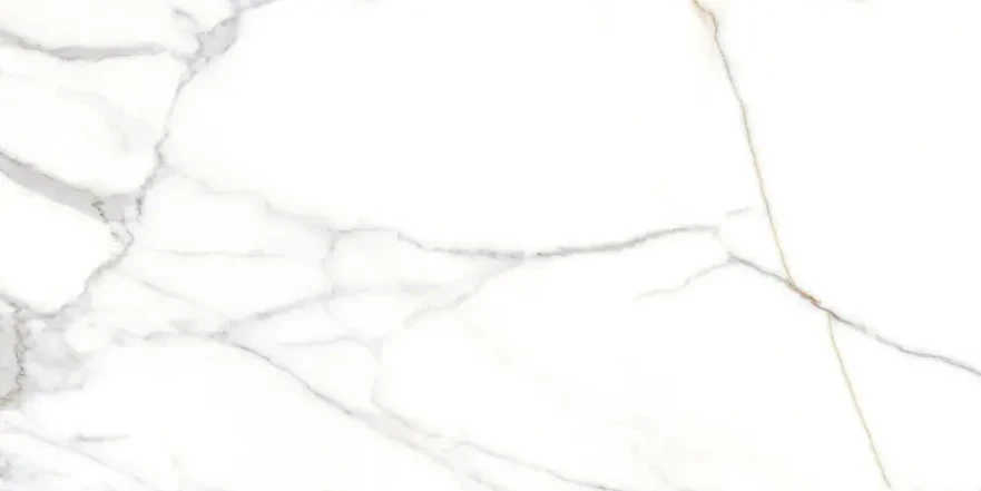 Керамогранит CRV-3140 carving (60х120) MPL-058741 MPL-058741