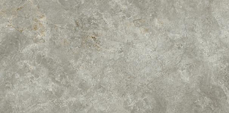 Керамогранит Marmi Classici FIOR DI BOSCO Luc Ret (60x120) PL612574