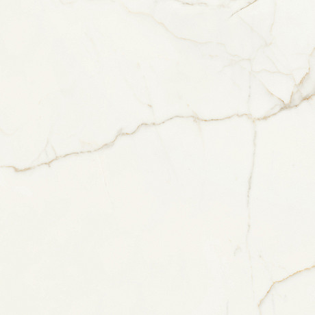 Керамогранит CALACATTA GOLD MATT RET 608.0015.080z (80x80)