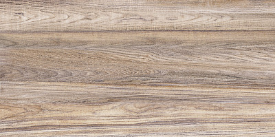 Плитка настенная Dublin (24.9x50) TWU09DBL404