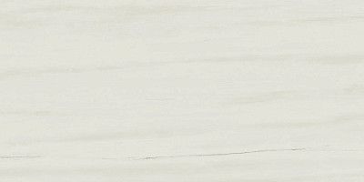 Керамогранит Marvel Bianco Dolomite (30x60) D110