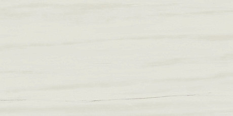 Керамогранит Marvel Bianco Dolomite (30x60) D110
