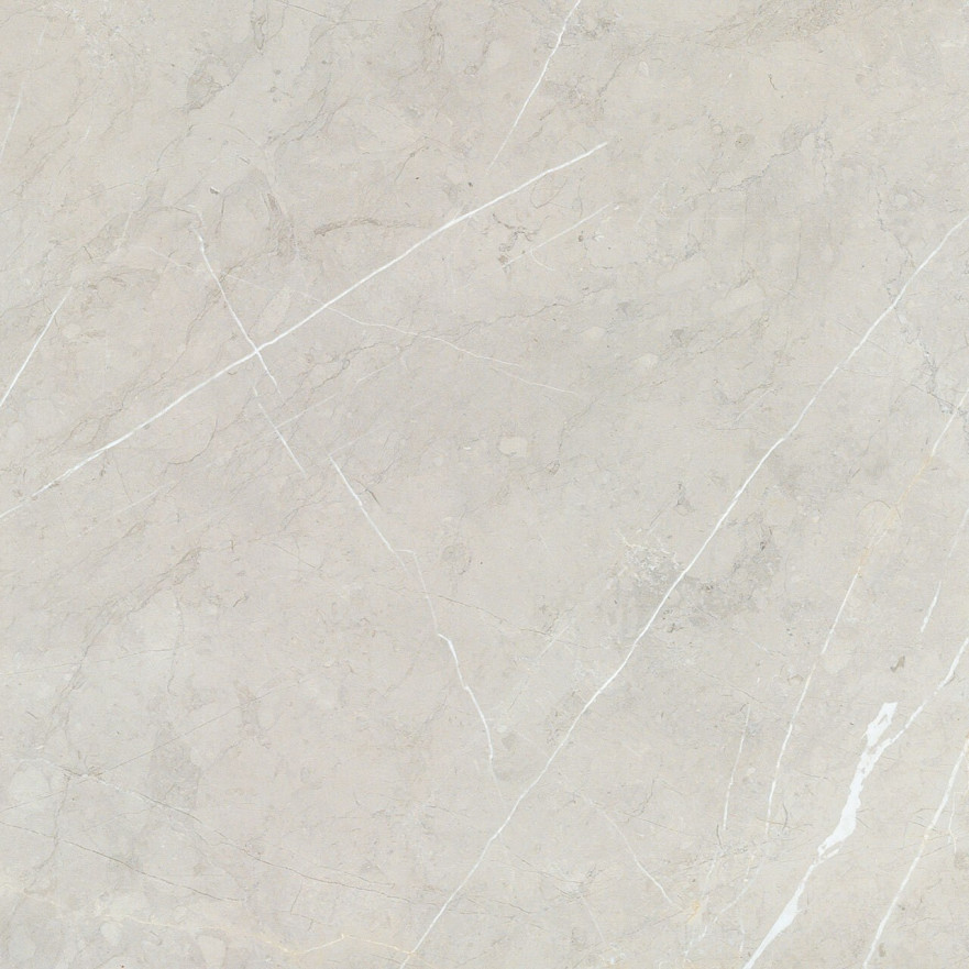 Керамогранит 2550 BB6NTT9101P (60x60) BB6NTT9101P