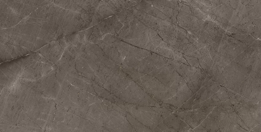 Gris Mramor Versace Gold (60x120) RP-91894 RP-91894