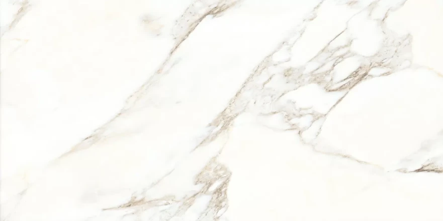 Rosa Aurora Rosa Aurora Glossy (60x120) RP-203100 RP-203100