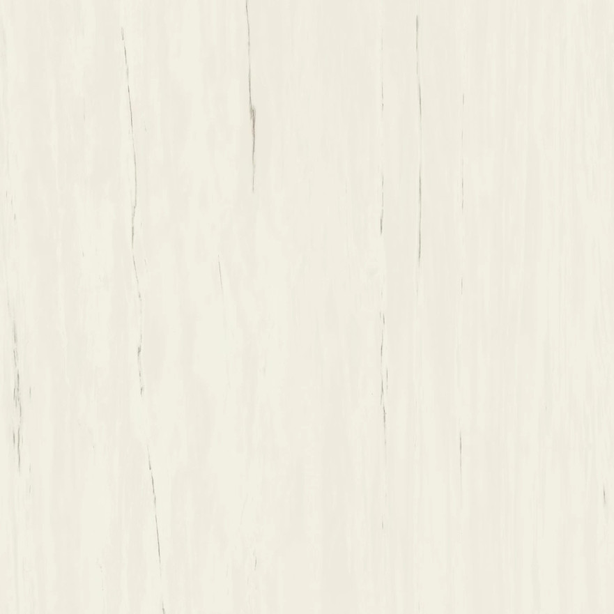 Керамогранит Marvel Bianco Dolomite (120x120) A204 A204