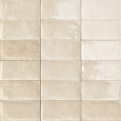 Rev. CAMDEN BONE (10x20)