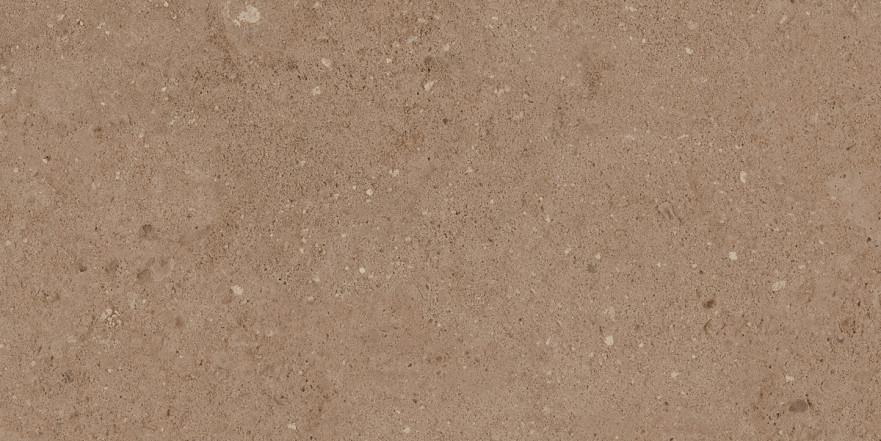 Керамогранит NP03 (30,6x60,9x8) непол. NP 03