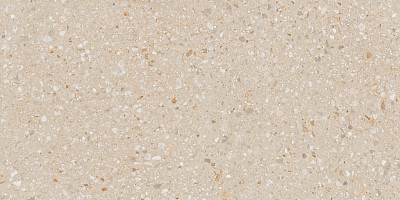 Керамогранит AG22x10 непол. рект. (60x120)