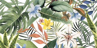 Керамогранит Tropical A (60х120)