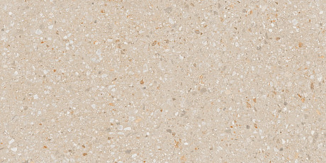 Керамогранит AG22x10 непол. рект. (60x120)