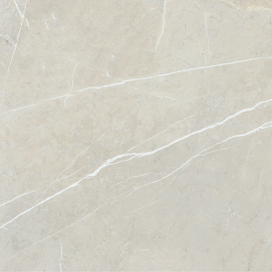 Керамогранит 2550 BB6NTT9101P (60x60) BB6NTT9101P