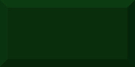 Керамическая плитка Monocolor Botella Biselado Brillo (10x20)