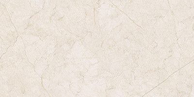 Керамогранит Contempora Pure (80x160) Ret 610010001692