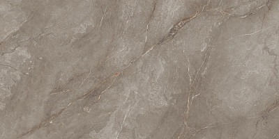 Керамогранит Orobico Brown Polished (80x160) N20495