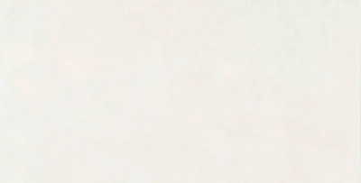 Керамическая плитка Mon Hazy Garden (30х60) NB_0430