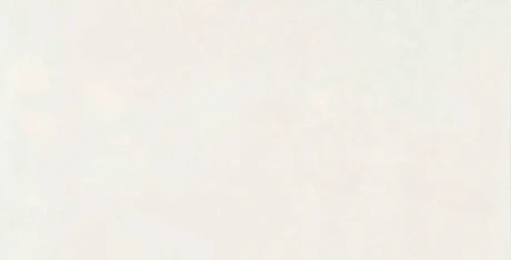 Керамическая плитка Mon Hazy Garden (30х60) NB_0430