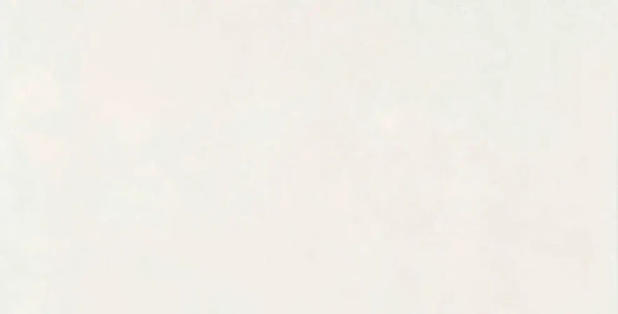 Керамическая плитка Mon Hazy Garden (30х60) NB_0430 NB_0430