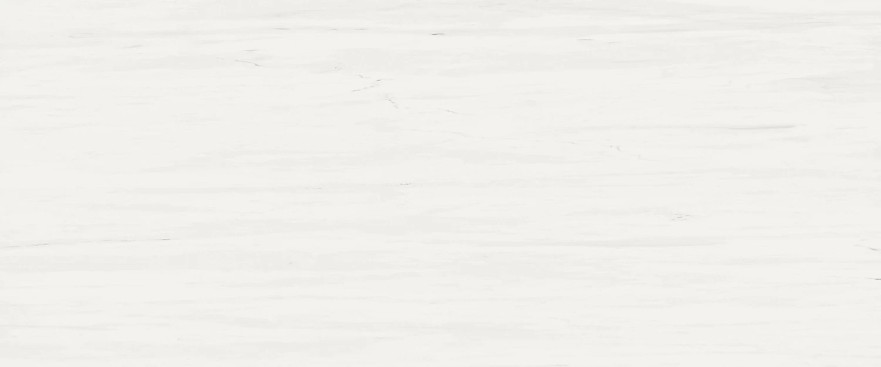 Керамогранит Marvel Bianco Dolomite (50x120) A4S4 A4S4