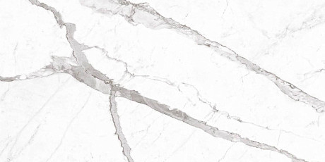 Statuario Altisimo Luc (60x120)