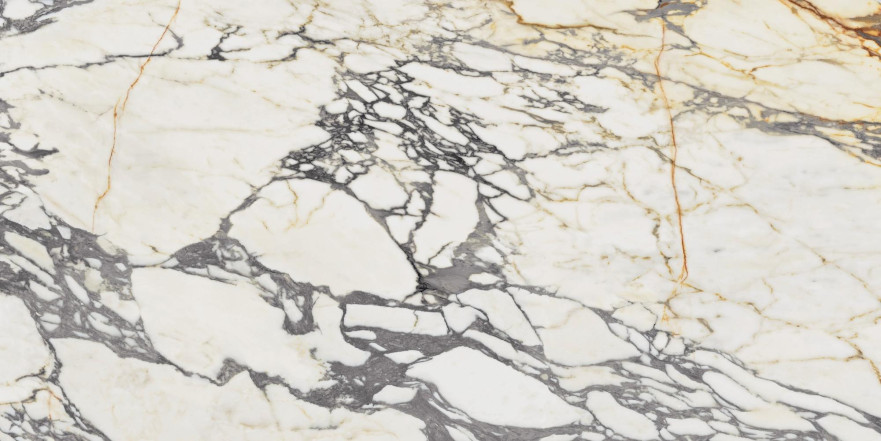 Керамогранит Epoque 21 Arabescato Ant PF60009341 (60x120) PF60009341