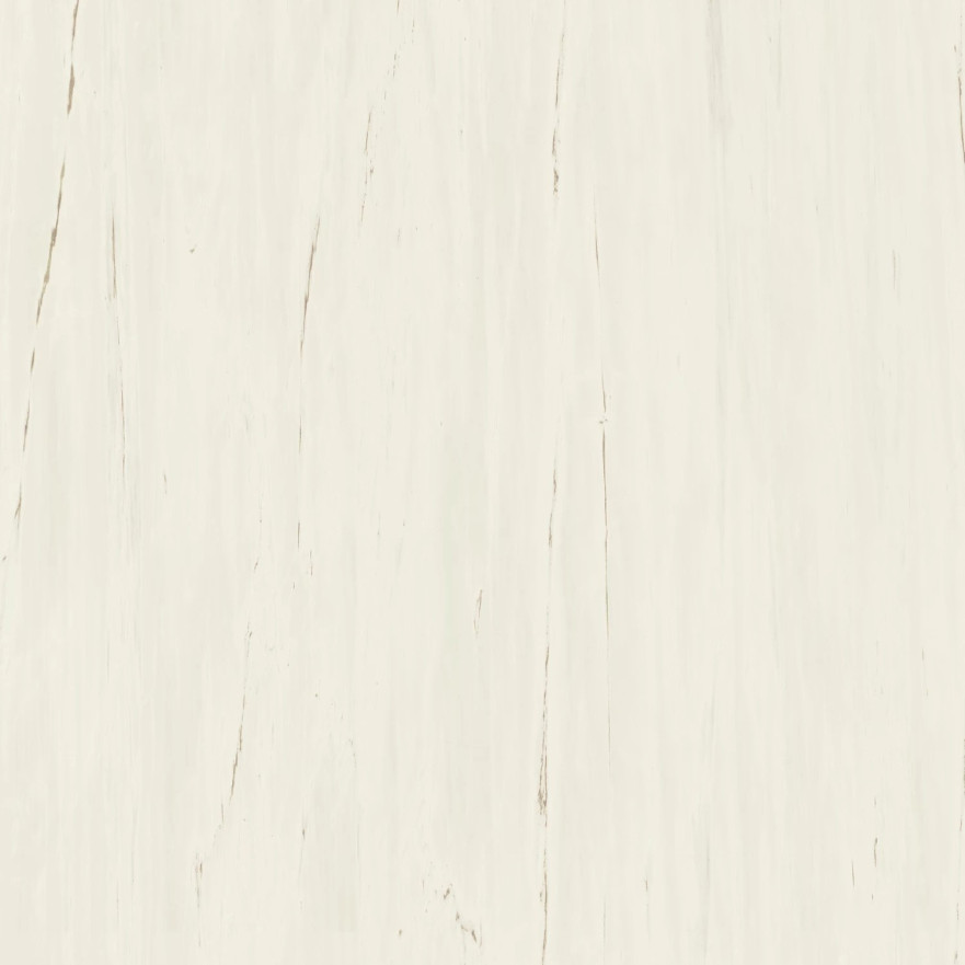 Керамогранит Marvel Bianco Dolomite (120x120) A204 A204