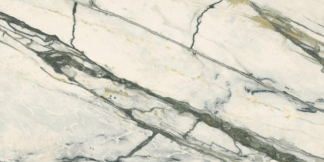 Керамогранит 0009069 Supreme Treasure Calacatta Emerald Nat Ret (60x120)