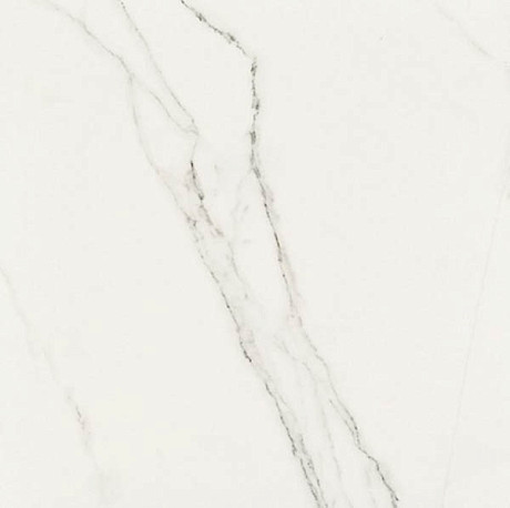 Керамогранит Precious Calacatta Polished (59.2x59.2) 615.0048.001