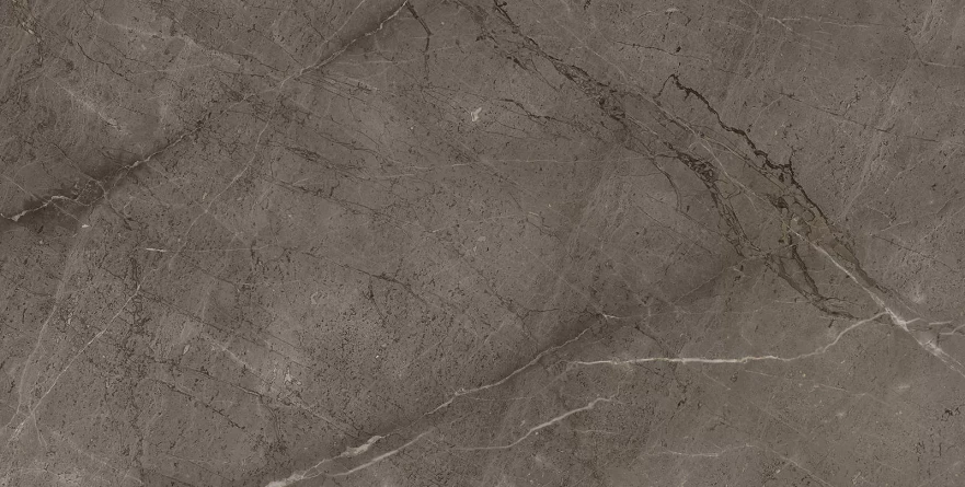 Gris Mramor Versace Gold (60x120) RP-91894 RP-91894