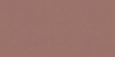 Керамическая плитка Wide-style mini Paprika ret PF60008237 (60x120)