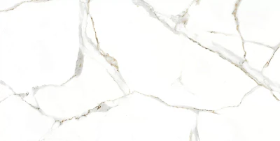 Satvario Gold Сатварио Голд (60x120) RP-144415