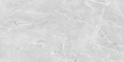 Керамогранит Eva Grey Polished (60x120) N20467