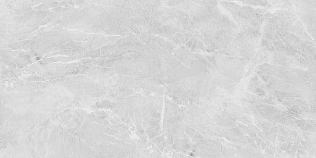 Керамогранит Eva Grey Polished (60x120) N20467