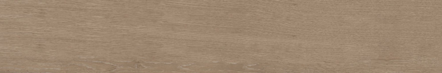 Керамогранит CW03 (19,4x120x10) непол. рект. CW 03 CW 03