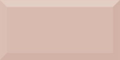 Керамическая плитка Monocolor Salmon Biselado Brillo (10x20)