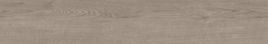 Керамогранит CW02 (19,4x120x10) непол. рект. CW 02 CW 02