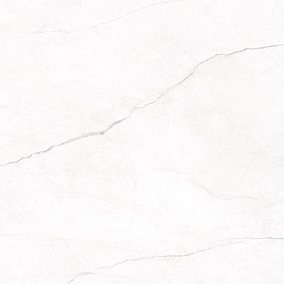 Керамогранит Omnia White Polished Rect. (120х120) (60x120)