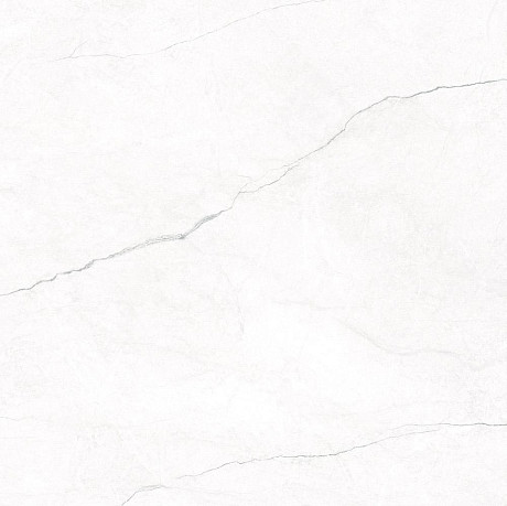 Керамогранит Omnia White Polished Rect. (120х120) (60x120)