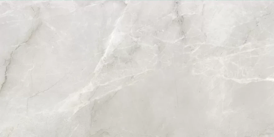 Fish Maw Ash Digital Carving 60x120 KSW612DG008