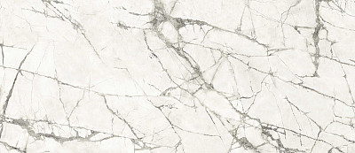 Керамогранит Anima Ever Magnificent White Luc (120х278) 6 mm