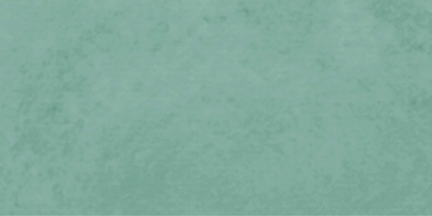 Керамическая плитка Poetry colors Sage n (7.5x15) PF60011533 PF60011533