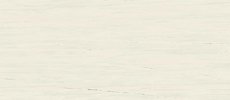 Керамогранит Marvel Bianco Dolomite Lapp. (120x278) A0BP