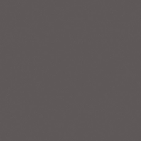 Керамогранит RW033x11 непол. рект. (80x80)