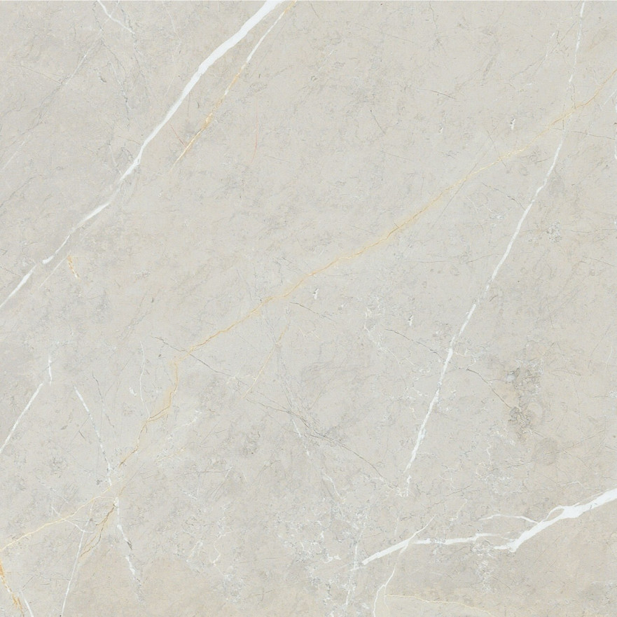 Керамогранит 2550 BB6NTT9101P (60x60) BB6NTT9101P